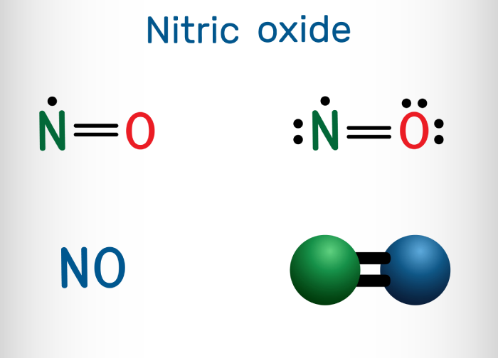 Nitric Oxide in Parkinson's: A Double-Edged Sword - Illustrations 1 - Nitric Oxide in