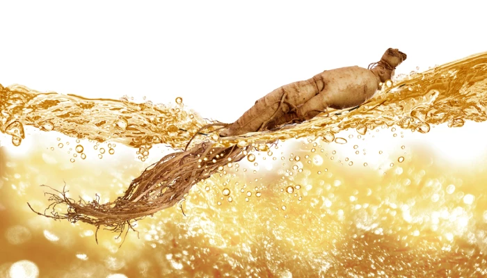 Notoginseng: The Superhero Root You Never Knew You Needed! - Illustrations 3 - Notoginseng_ The Superhero