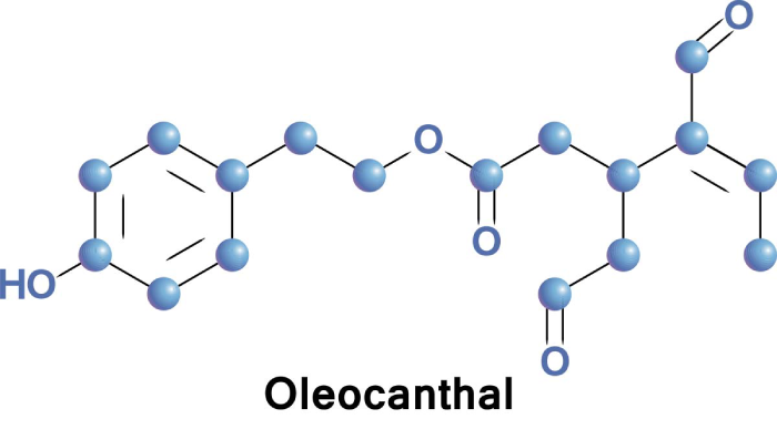 Oleocanthal: A Promising Olive Oil Compound for Colorectal Cancer Prevention - Illustrations 1 - Oleocanthal_ A Promising