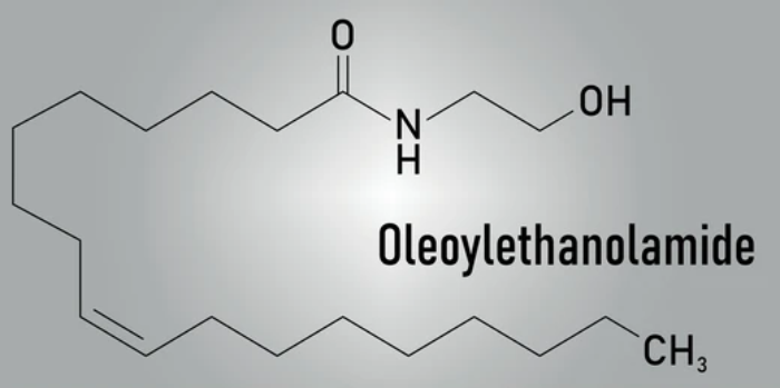 Oleoylethanolamide: The Secret Weapon for Weight Loss You Never Knew You Needed - Featured Image