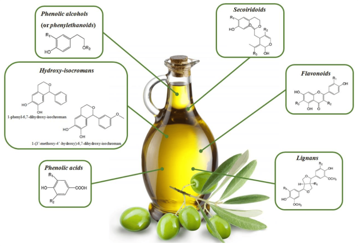 Olive Polyphenols: Exercise Recovery’s New Ally? - Featured Image