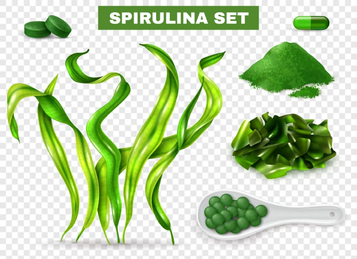 Efectos protectores de la espirulina sobre la salud intestinal: conclusiones de investigaciones recientes - Featured Image