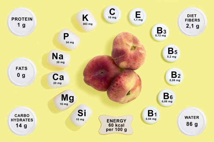 The Critical Role of Minerals in Human Health: A Deep Dive into Calcium, Magnesium, and Phosphate  - Featured Image