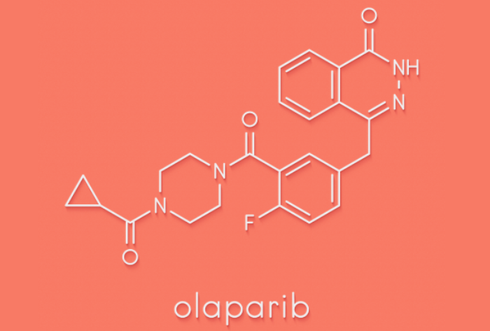 The Olaparib Odyssey: A Roller Coaster Ride Through Cancer Treatment - Featured Image