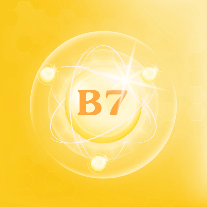 Vitamin B7 Powder