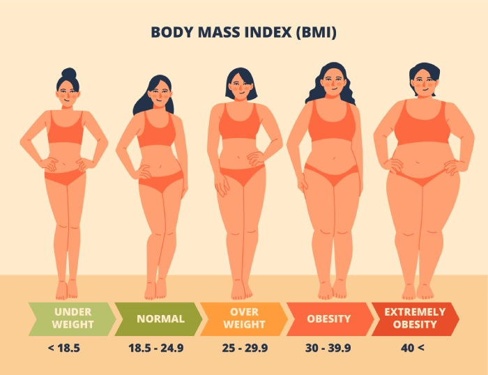 Vitamin E and Body Fat: Exploring Their Connection to Metabolic Health - Illustrations 1 - Vitamin E and