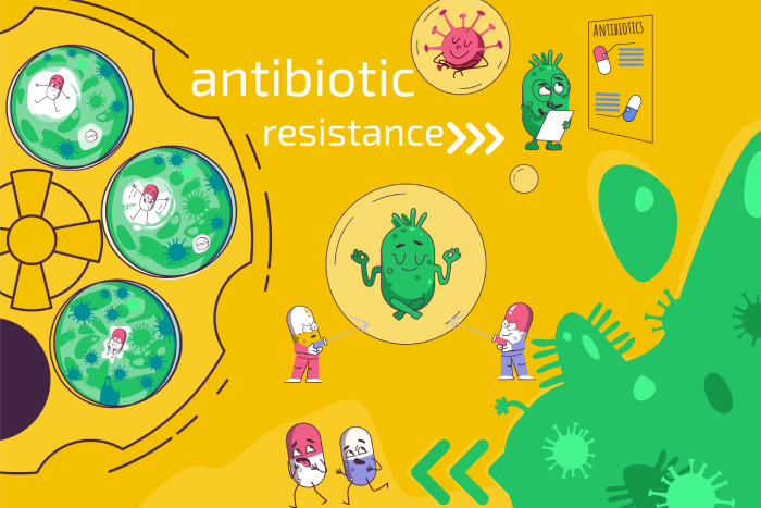 Descubriendo la vulnerabilidad de las bacterias resistentes a los antibióticos - Featured Image