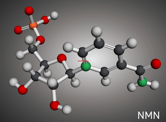 Batalla legal de NMN: empresa farmacéutica contra suplementos - Featured Image