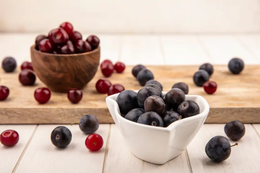 black chokeberry aronia melanocarpa