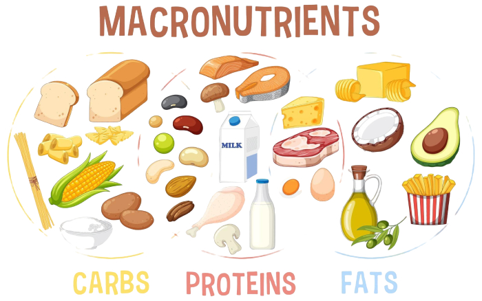 Aumento de peso: ¿son las proteínas las verdaderas culpables y no los carbohidratos? Los científicos más destacados opinan - Featured Image