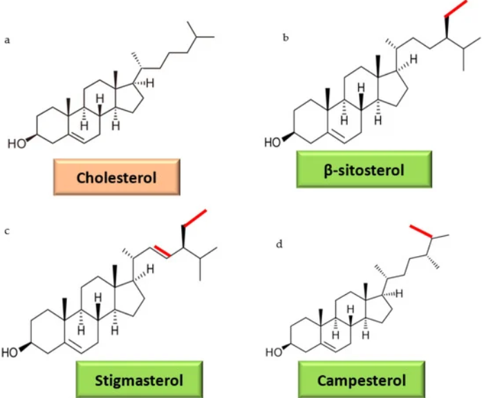 Cholesterol-Lowering Supplements: A Double-Edged Sword? - Featured Image