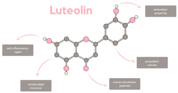 Luteolin: The Antioxidant That Could Revolutionize Anti-Graying Hair Care - Illustrations 1 - Luteolin_ The Antioxidant